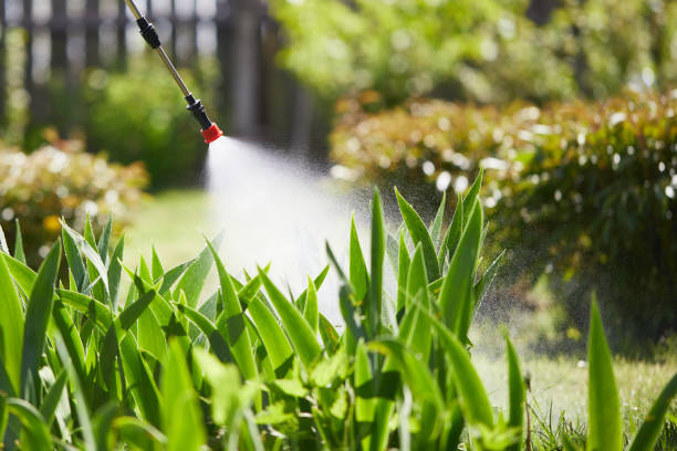 24/7 Emergency Fumigation Services experts in Faribault, MN