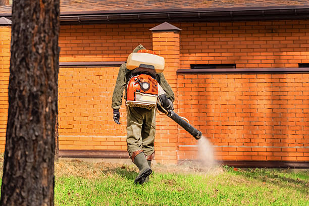 Top rated local Fumigation Services specialists in Faribault, MN